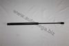 AUTOMEGA 3101320757 Gas Spring, boot-/cargo area